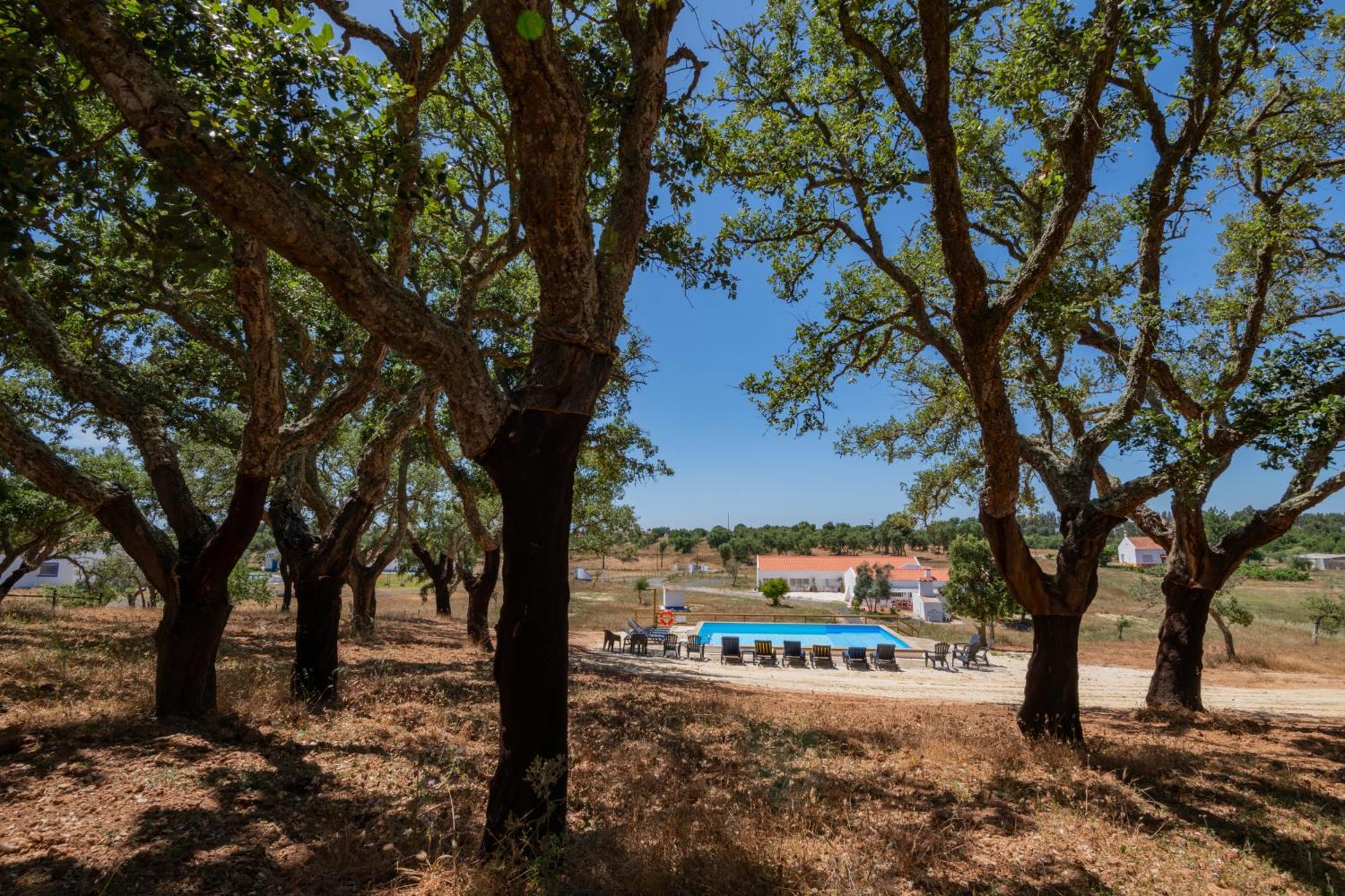 Valle D'Agua - Casas De Campo Vale de Água Exteriér fotografie